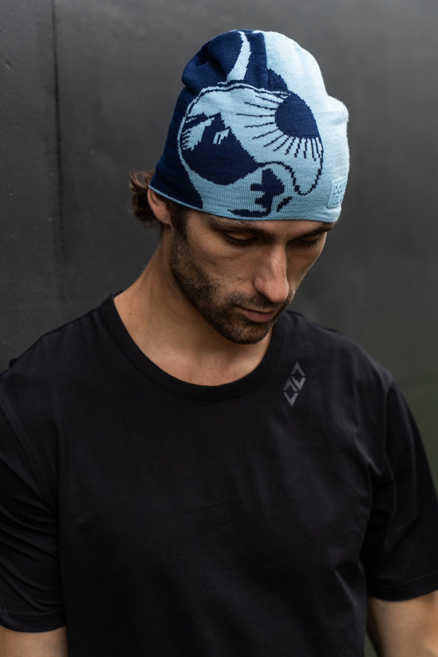 Blue Jacquard Snowboarding Beanie
