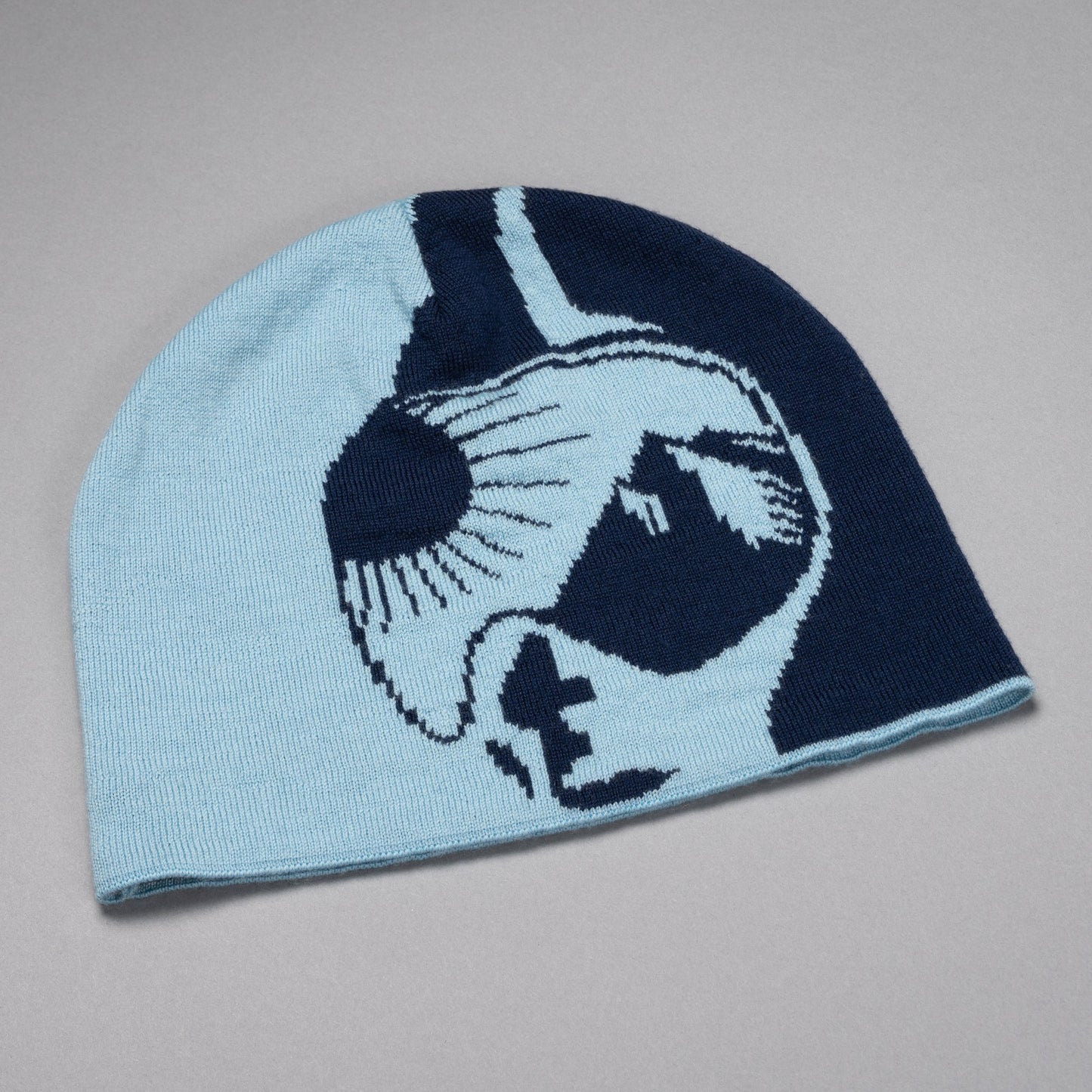 Blue Jacquard Snowboarding Beanie